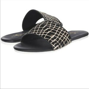 NIB Yosi Samra Reese Slides